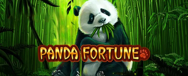Panda Fortune