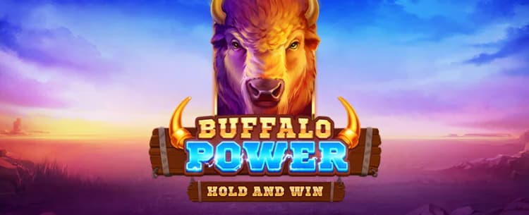 Buffalo Power: Hold and Win - Joe Fortune