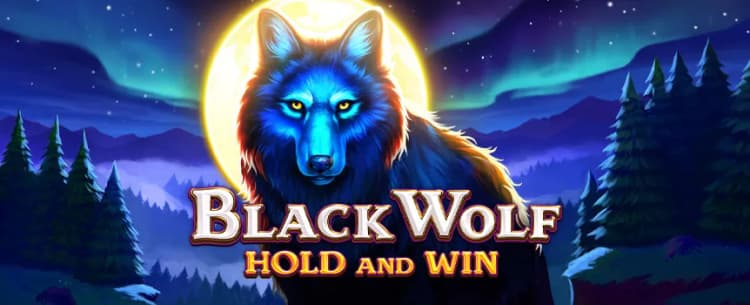 Play Black Wold Hold and Win