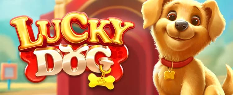 Lucky Dog