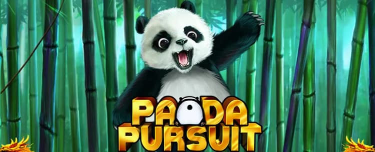 Panda Pursuit